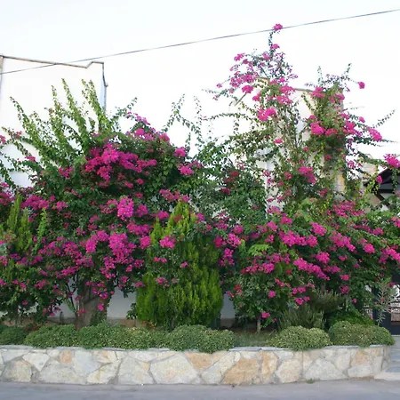 Cotton Boutique Hotel Ξενοδοχείο Gümbet