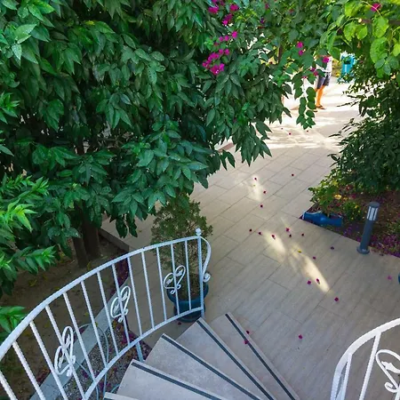 Cotton Boutique Hotel 3* Gümbet