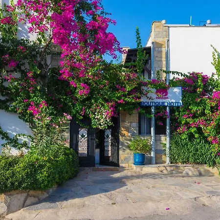 Ξενοδοχείο Cotton Boutique Hotel Gümbet