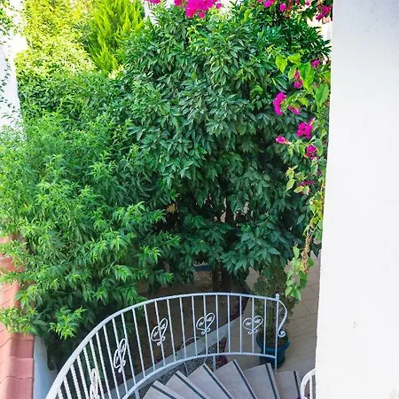 Ξενοδοχείο Cotton Boutique Hotel