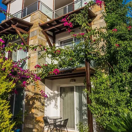 Ξενοδοχείο Cotton Boutique Hotel 3*